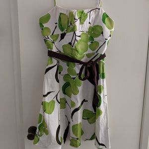 Women's Dress w/ Detachable Belt